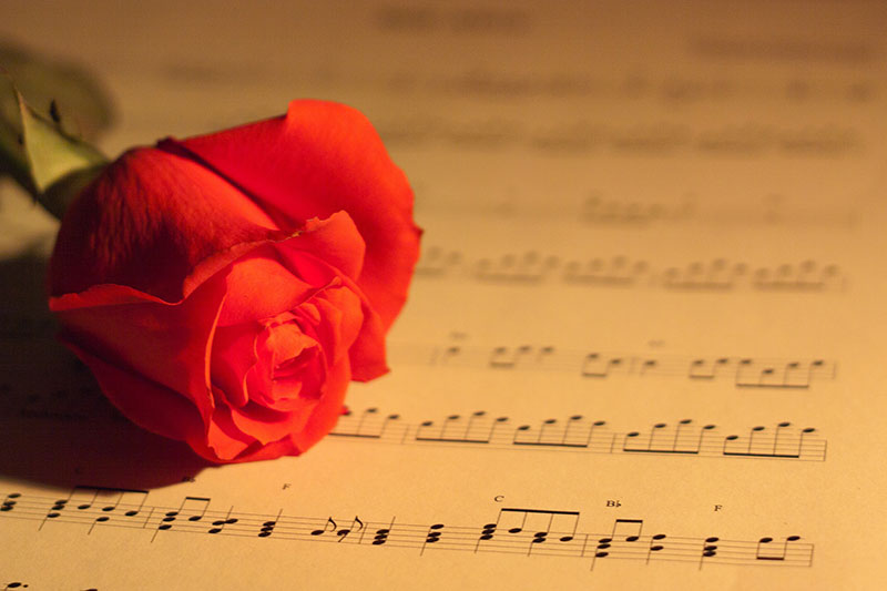 sheet music and rose